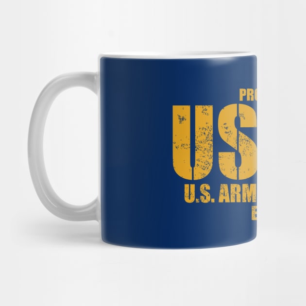 United States Army Air Forces (distressed) by TCP